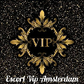 Escort Vip Amsterdam logo