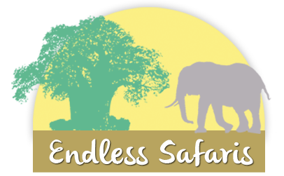 Endless Safaris logo